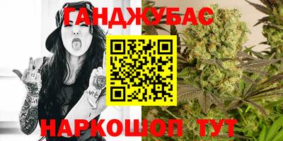 стаф Кандалакша
