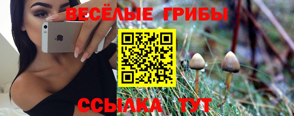 где продают наркотики  Псилоцибиновые грибы мухоморы  Вход с VPN  Псилоцибиновые грибы Psilocybe  Краснокаменск 